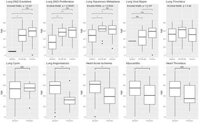 Younger age is associated with cardiovascular pathological phenotype of severe COVID-19 at autopsy